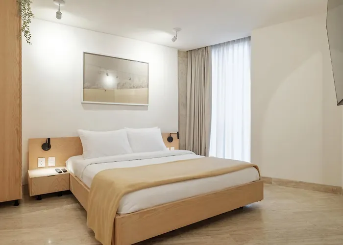 New 1bed With Rooftop Terrace Beside Parque Mexico City