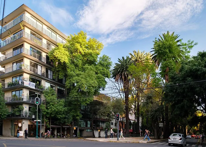 New 1bed With Rooftop Terrace Beside Parque Apartment Mexico City
