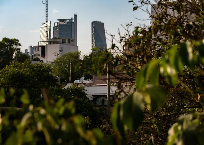 Apartment New 1bed With Rooftop Terrace Beside Parque
